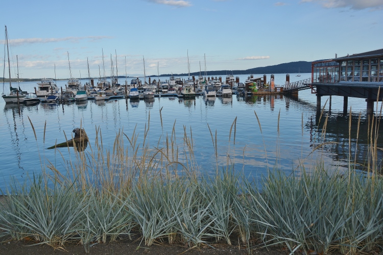 harbor